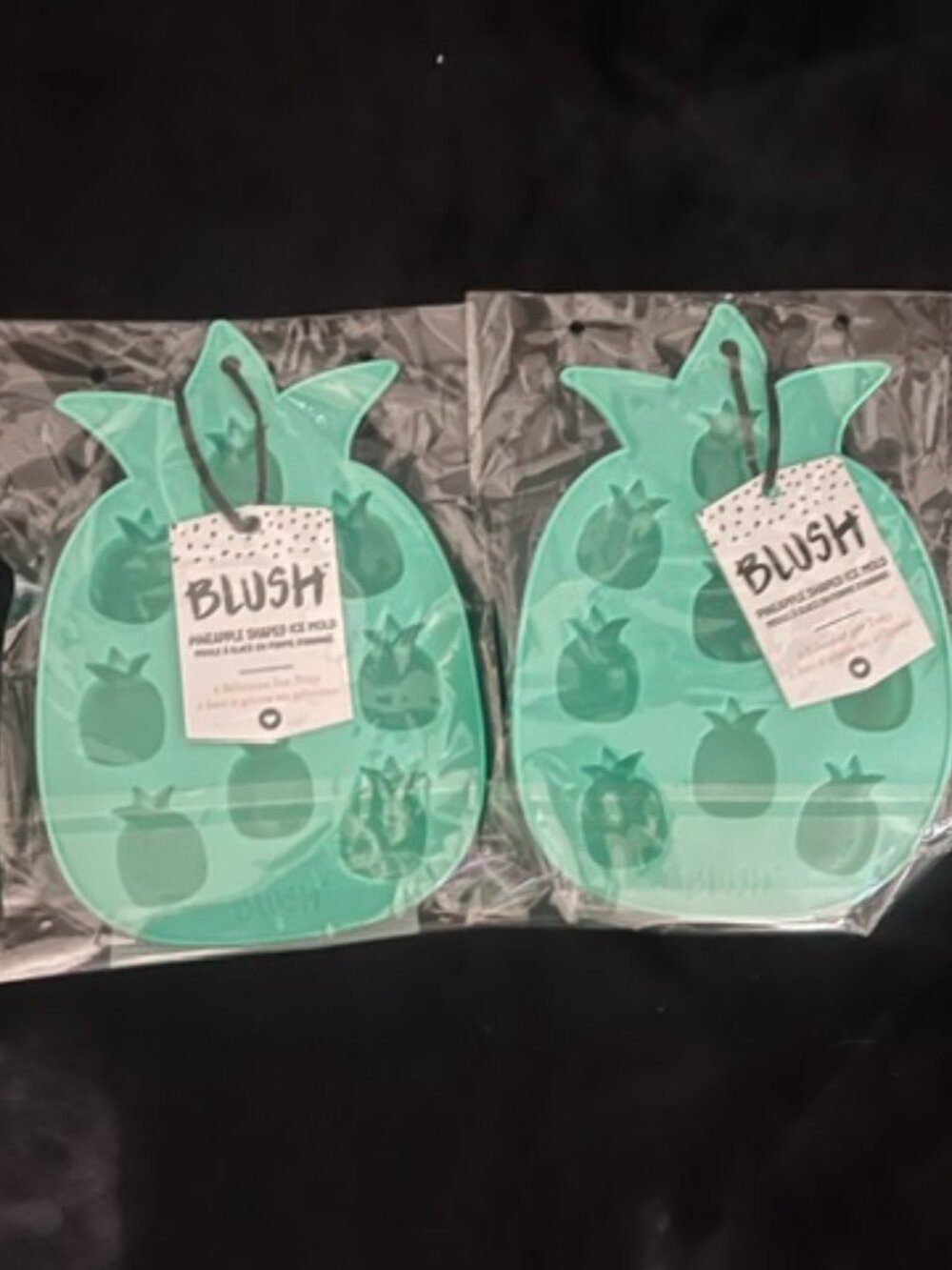 Blush Teal Pineapple Ice Trays - Set of 2